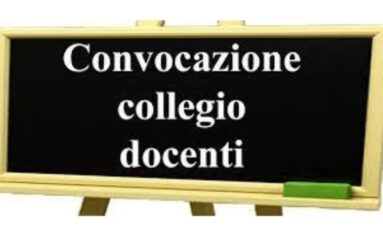 collegio docenti